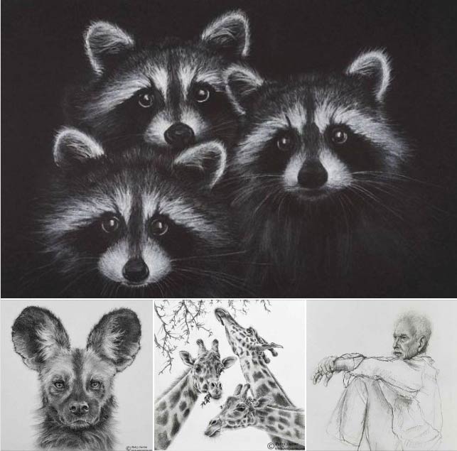 to patty storms pencil drawings