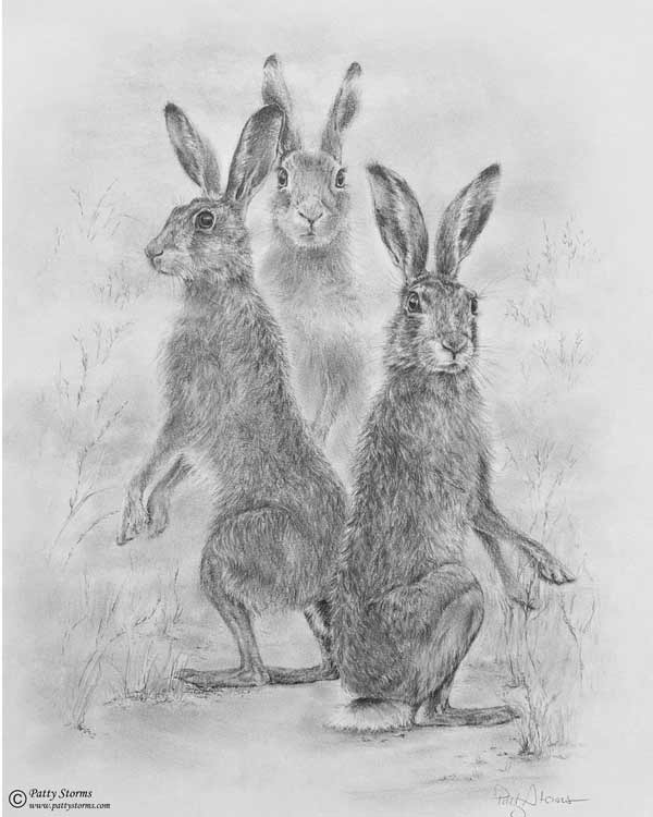 Hares in the mist, graphite pencil drawing