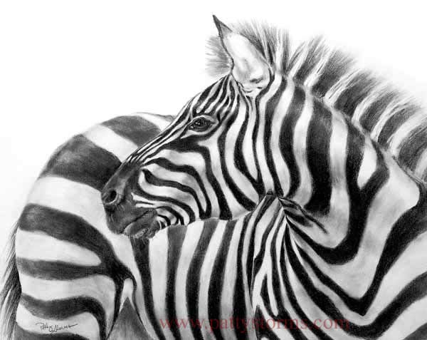 Zebra, graphite pencil drawing side view close up