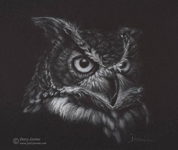 Great Horn Owl, white pencil drawing on black paper