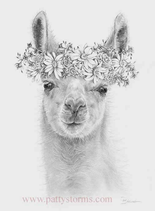 Eleanor's Llama, graphite pencil drawing close up flower wreath