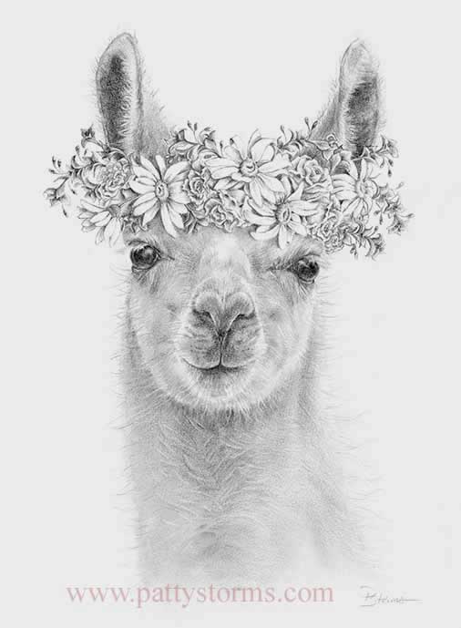 Eleanor's Llama, graphite pencil drawing close up flower wreath 