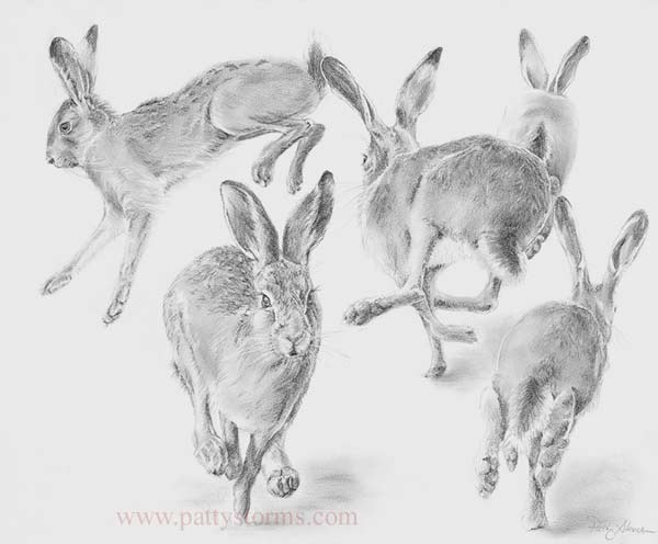 Run!, graphite pencil drawing hares at play running group