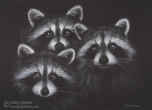 Racoon trio, white pencil drawing on black paper