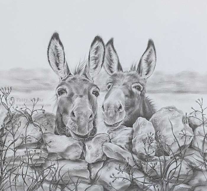 Two donkeys, graphite pencil drawing